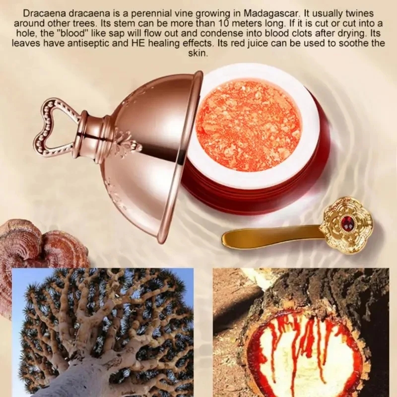 Dragon's Blood Face Cream Reti - Luxury Skincare Brands ulasan dan harga
